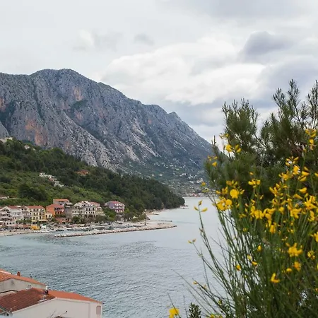 Vlado Podgora (Split-Dalmatia)